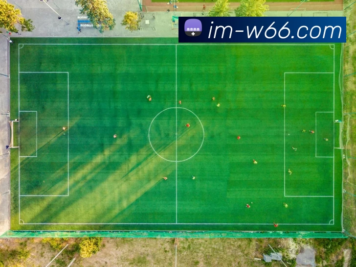 利来国际平台生态图